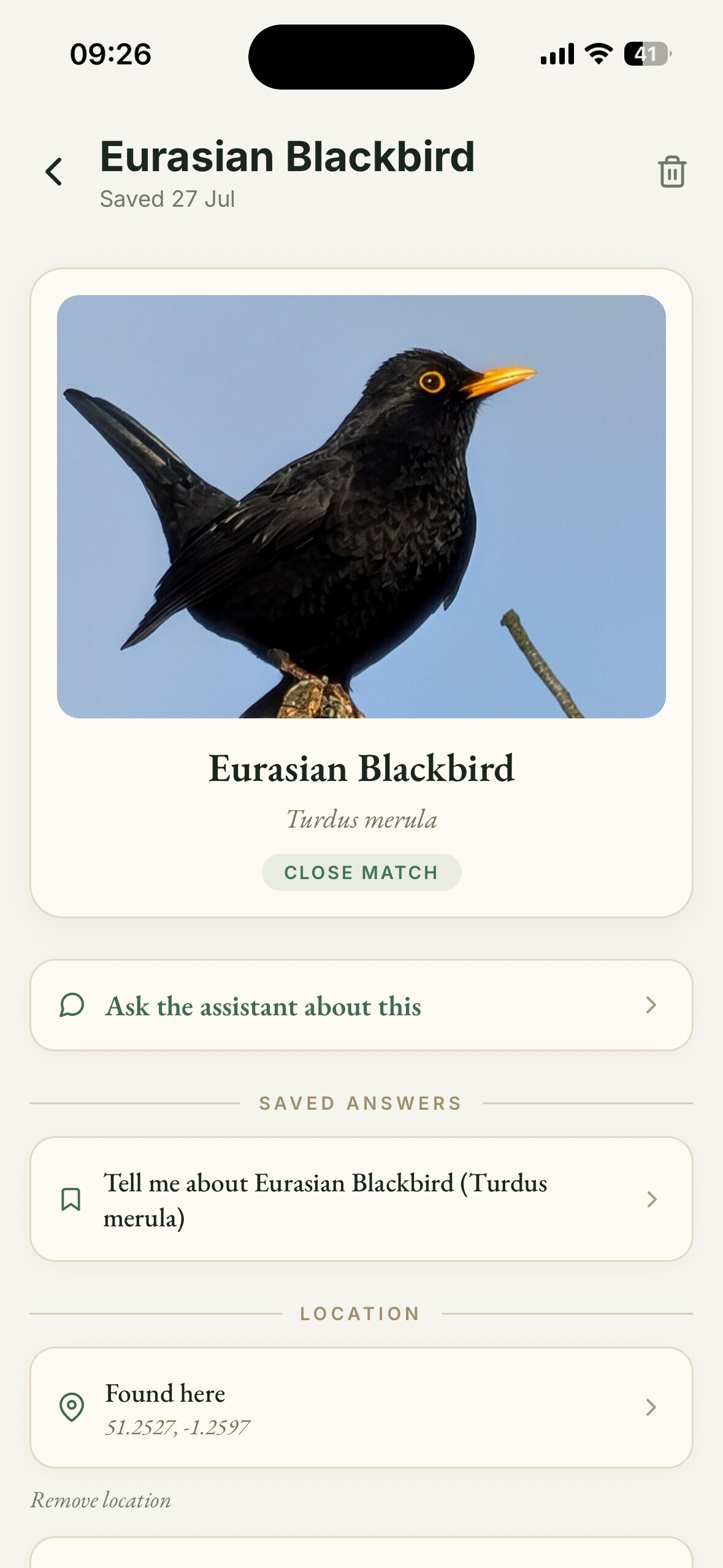 Eurasian Blackbird identified as Close match
